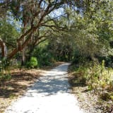 Boyd Hill Nature Preserve